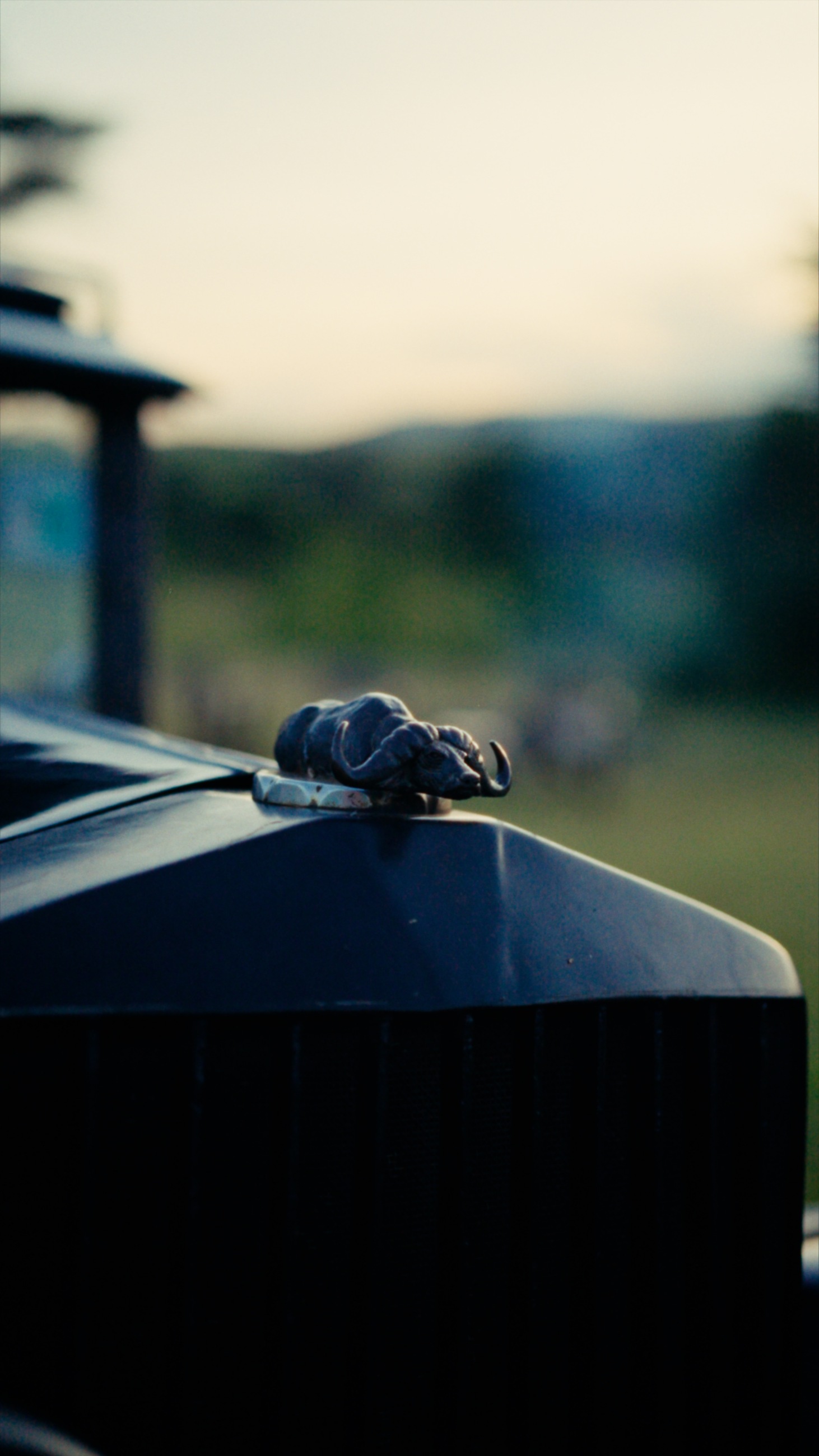 The complete buffalo ornament on the bonnet of Cottar’s vintage Dugu Dugu Bar vehicle